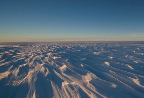 Ils découvrent des formes de vie inattendues dans les profondeurs de l’Antarctique | Histoires Naturelles | Scoop.it