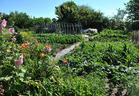 « Villes, agriculture et alimentation : expériences françaises », une nouvelle publication de France urbaine | France Urbaine – métropoles, agglos et grandes villes | ESPACES VEGETALISES URBAINS | Scoop.it