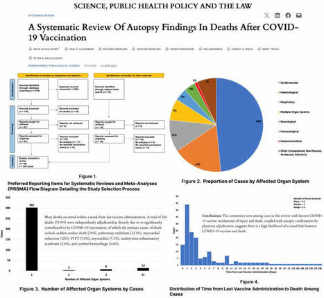 ‏🚨 What Did Hundreds of Autopsies Reveal About C-19 Shots? 1⃣ Hulscher et…‏ | ‏Nicolas Hulscher, MPH‏ | ‏٤٩‏ من التعليقات | Hésitations Vaccinales: Observatoire HESIVAXs | Scoop.it