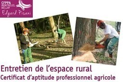 Métiers du bois et de l'écoconstruction en Languedoc-Roussillon | Métiers et emploi de l'économie verte | Scoop.it