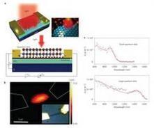 Research group creates highly sensitive photodetector from graphene and quantum dots | Cool Future Technologies | Scoop.it