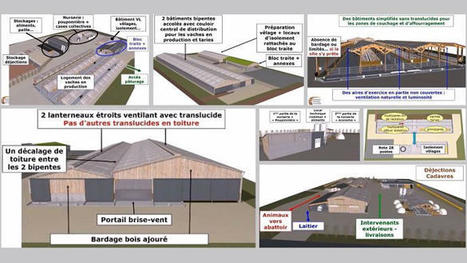 Plans de bâtiment vaches laitières: économie, environnement, agrandissement | Actualités de l'élevage | Scoop.it