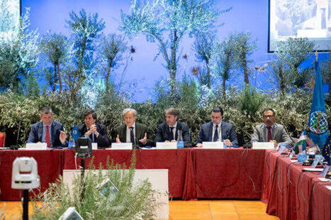 El COI destaca el "récord histórico" de la campaña oleícola 24-25 con "más de 3,5 millones de toneladas" en el mundo | OLIVE NEWS | Scoop.it