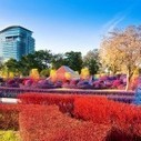 Colourful Campus of Thailand | Landart, art environnemental | Scoop.it