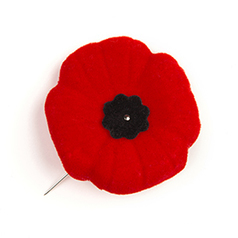 Remembrance Day - Legion - The tradition of Remembrance will continue  | iGeneration - 21st Century Education (Pedagogy & Digital Innovation) | Scoop.it