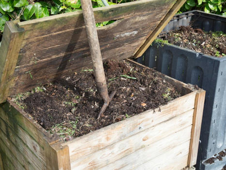 What To Compost: What You Can Put In A Compost Bin | Galapagos | Scoop.it