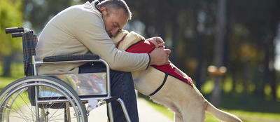 Le chien d'assistance, pour quels handicaps ? | Caf.fr
