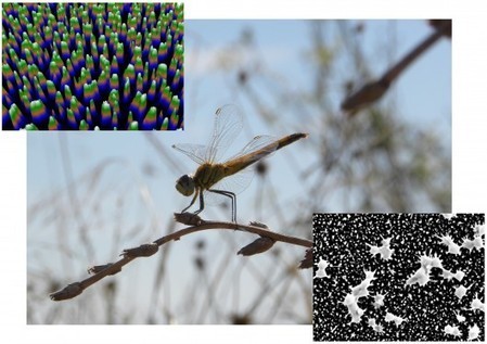 Black silicon slices and dices bacteria | Cool Future Technologies | Scoop.it
