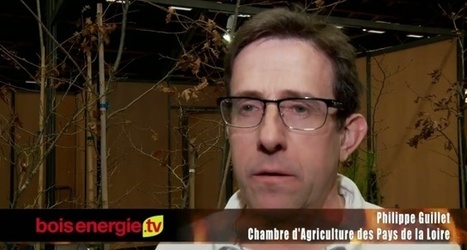 La mobilisation des ressources bois-&eacute;nergie dans les bocages - Philippe Guillet - Salon Bois Energie 2013 | Agriculture en Pays de la Loire | Scoop.it