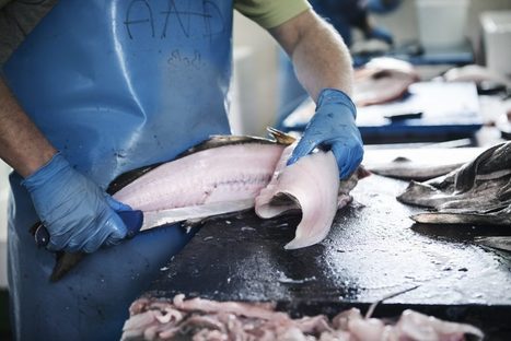 EXPERIMENTATION / Une exp&eacute;rimentation d&rsquo;action de formation en situation de travail pour les d&eacute;partements d&rsquo;outre-mer | Innovation et transformation p&eacute;dagogique | Scoop.it