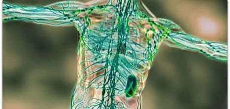 Signs Of a Clogged Lymphatic System And 10 Ways To Cleanse It | SELF HEALTH + HEALING | Scoop.it