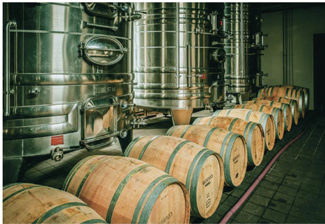 FRANCE : Quels vins demain ? | INRAE | CIHEAM Press Review | Scoop.it