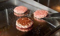 A veggie burger that bleeds? Now the ‘clean meat’ revolution is cooking on gas | ALIMENTATIONS | Scoop.it