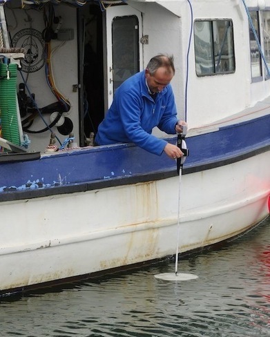 Vanishing Marine Algae Can Be Monitored From a Boat With Your Smartphone | Coastal Restoration | Scoop.it