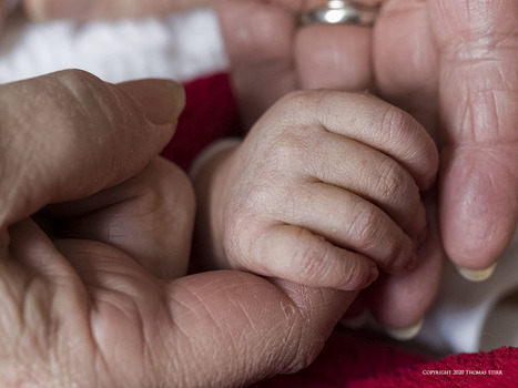 Favourite Images for 2020 | Mirrorless Cameras | Scoop.it