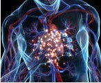 Immunotherapy data heralds new era of lung cancer treatment | 21st Century Innovative Technologies and Developments as also discoveries, curiosity ( insolite)... | Scoop.it