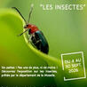 Vari&eacute;t&eacute;s entomologiques