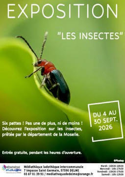 "Les insectes" : Exposition a Delme (Moselle) | Vari&eacute;t&eacute;s entomologiques | Scoop.it
