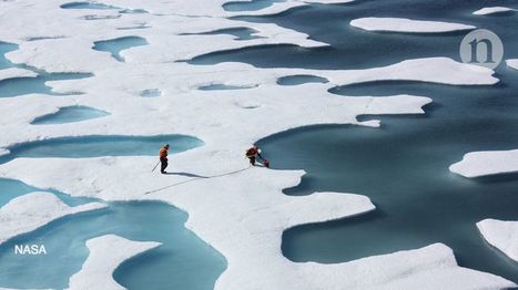 Five years of record warmth intensify Arctic's transformation | Biodiversité | Scoop.it