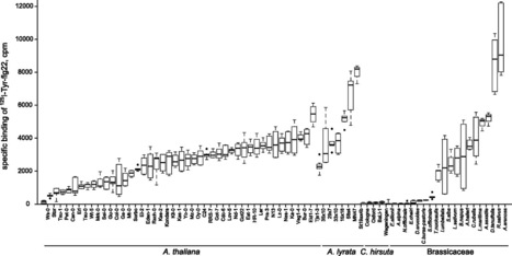 Mol Bio Evol: Flagellin Perception Varies Quantitatively in Arabidopsis thaliana and Its Relatives (2012) | Plants and Microbes | Scoop.it