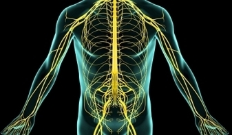 Nerve Damage After Surgery | Neuropathy "The Painful Enigma" | Scoop.it