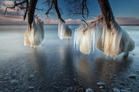 Interesting Photo of the Day: Nature's Ice Sculptures | Strange Ontario | Scoop.it