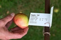 UN: Accelerating Biodiversity Loss a 'Fundamental Threat' to the 'Survival of Humankind' | Stage 5 Sustainable Biomes | Scoop.it