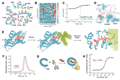 Small-molecule binding and sensing with a designed protein family | Ncm | RMH | Scoop.it