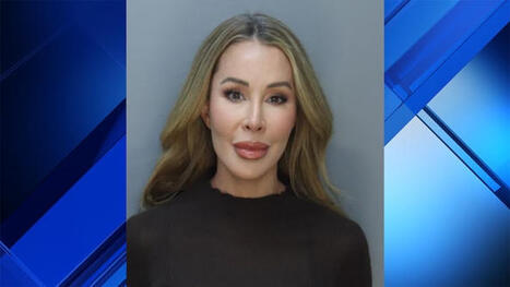&lsquo;Real Housewife&rsquo; Lisa Hochstein arraigned on criminal charge; tentative date set for trial - local10.com | Operation Oya | Scoop.it