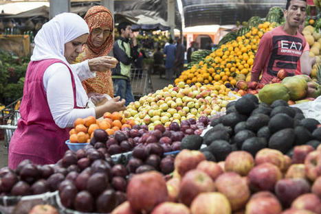 FAO : Promouvoir la transformation des systèmes alimentaires dans la région méditerranéenne à l’horizon 2030 | ALIMENTATIONS | Scoop.it