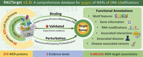 RM2Target v2.0: an updated database for the target genes of writers, erasers, and readers of RNA modifications | nar | RMH | Scoop.it