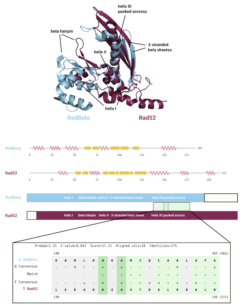 Structural alphabets approach performance of st...