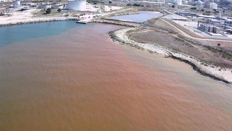 L'usine Kem One de Lavéra condamnée à 50 000 euros d'amende pour avoir pollué la Méditerranée | Pollution accidentelle des eaux par produits chimiques | Scoop.it