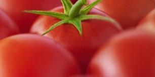 Sénégal: menace sur la campagne de tomates industrielles | Questions de développement ... | Scoop.it