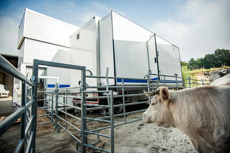 L'abattoir mobile Boeuf Ethique a déjà conquis 30 éleveurs | Actualité Bétail | Scoop.it