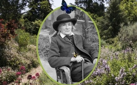 Jean-Henri Fabre, Homère des insectes – exposition Bibliothèque André Malraux Paris 21 janvier 2026 | Variétés entomologiques | Scoop.it