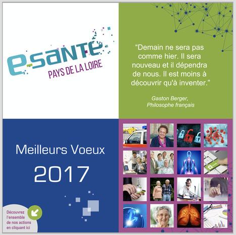 Panorama des actions du GCS e-santé Pays de la Loire | Les news du GCS e-santé PdL | Scoop.it