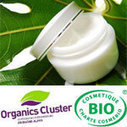 ACTU : Comment un pot de crème bio peut changer le monde&nbsp! : Organismes professionnels | Actualité des cosmétiques Bio, environnement, matières premières | Scoop.it