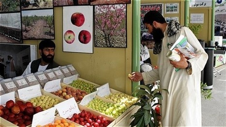 IFAD funds poverty-reduction measures in Afghanistan, Bhutan | The Asian Food Gazette. | Scoop.it