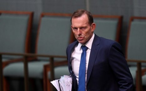 Liberal voters reject Abbott's hostile stance on clean energy | Futures Thinking and Sustainable Development | Scoop.it