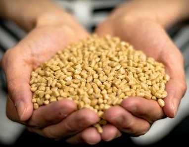 Stora Enso launches a wood-based biocomposite as a replacement for plastic. | Timberland Investment | Scoop.it