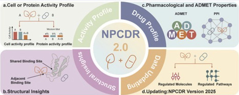 NPCDR 2.0: the activity and structure landscape of natural product-based drug combination | nar | RMH | Scoop.it