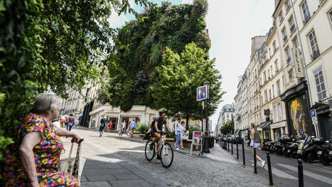 Canicule: pourquoi faut-il végétaliser les villes? | Confort d'été | Scoop.it