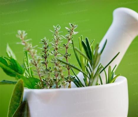La Provence dans l&rsquo;assiette | Aromathologie | Scoop.it