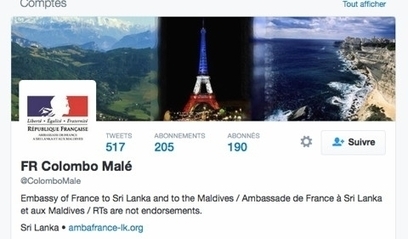 Sri Lanka, Madagascar et Japon : le MAE actualise ses recommandations | EntomoNews | Scoop.it