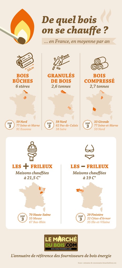 [Infographie] Le bois de chauffage en France | Build Green, pour un habitat écologique | Scoop.it