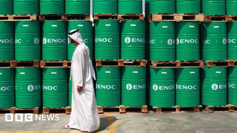 Why the UAE's exit from Opec is a big deal | International Economics: IB Economics | Scoop.it