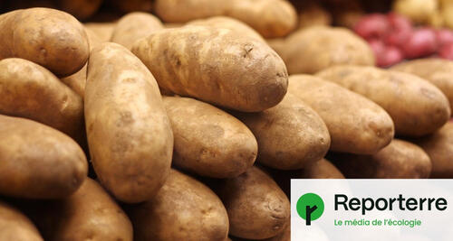 Sorry! Image not available at this time