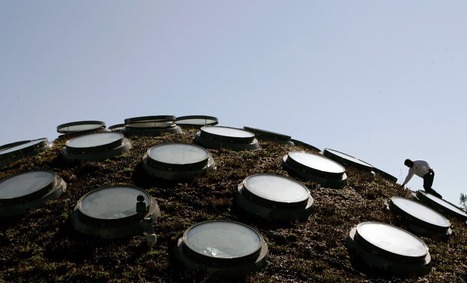 6 Examples of Urban Gardens, from Paris to Mexico City | URBANmedias | Scoop.it