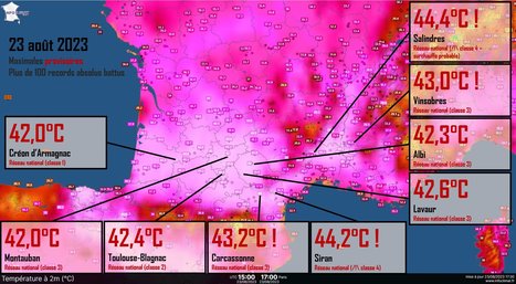 Une canicule caractéristique du réchauffement climatique du XXIᵉ siècle | EntomoNews | Scoop.it